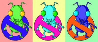 pipiswarhol